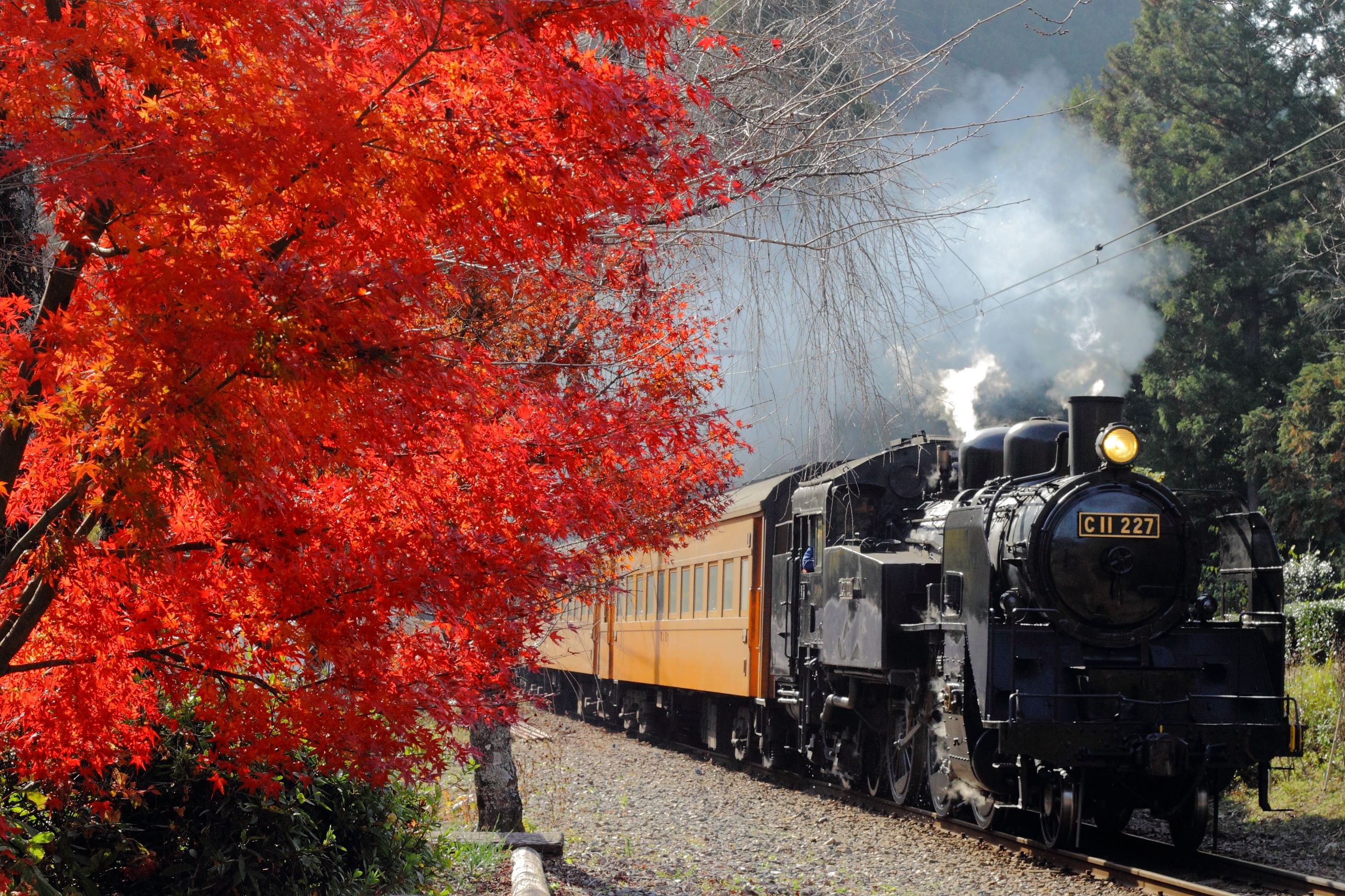 大井川鐡道slと日本唯一のアプト式鉄道に乗車 2日間 天満屋トラベル 岡山発ツアー 広島発ツアー 海外旅行 国内旅行 バスツアーなどの旅行代理店