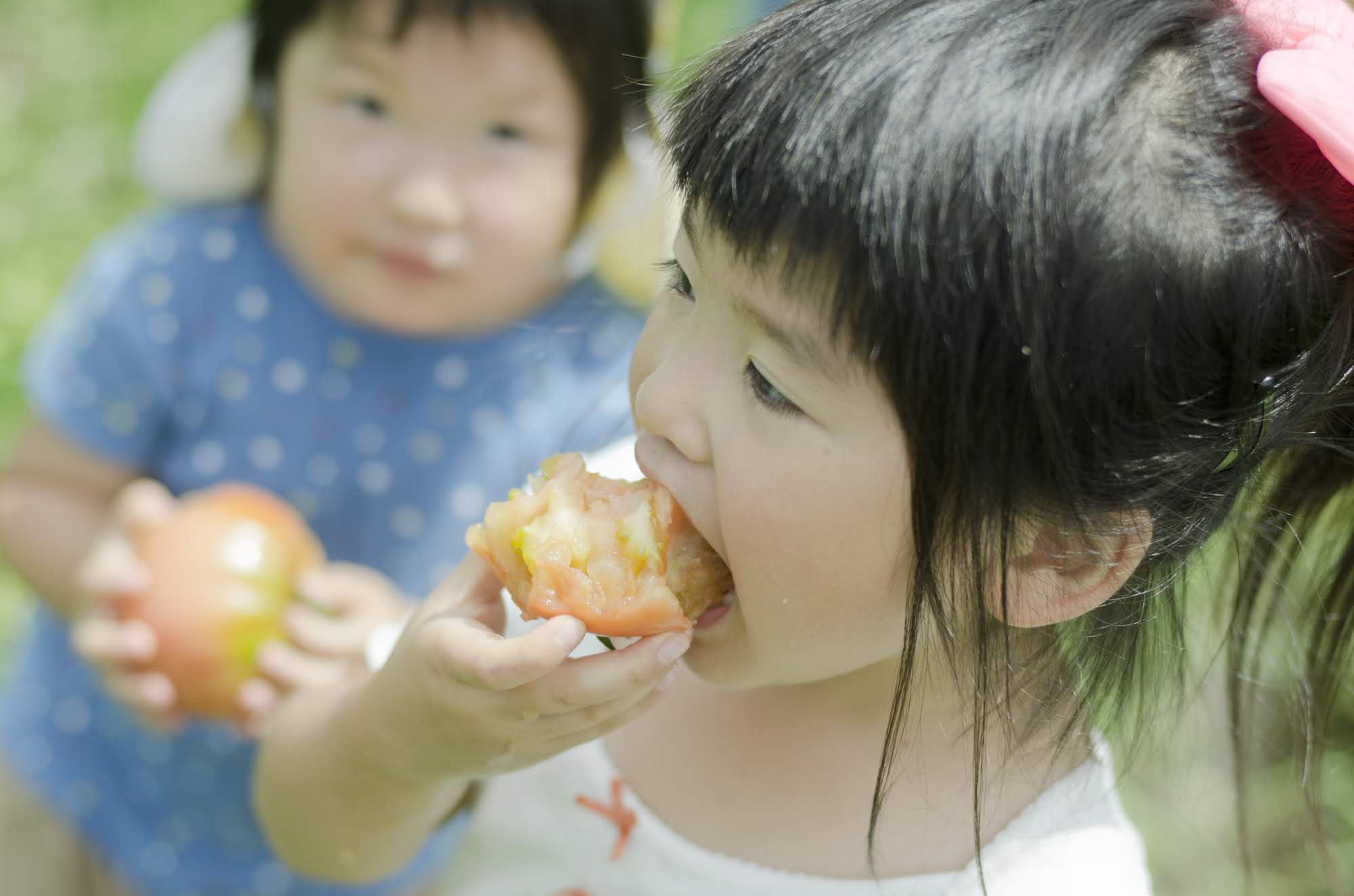 晴れの国DAKARA　子育て＆移住体感ツアー