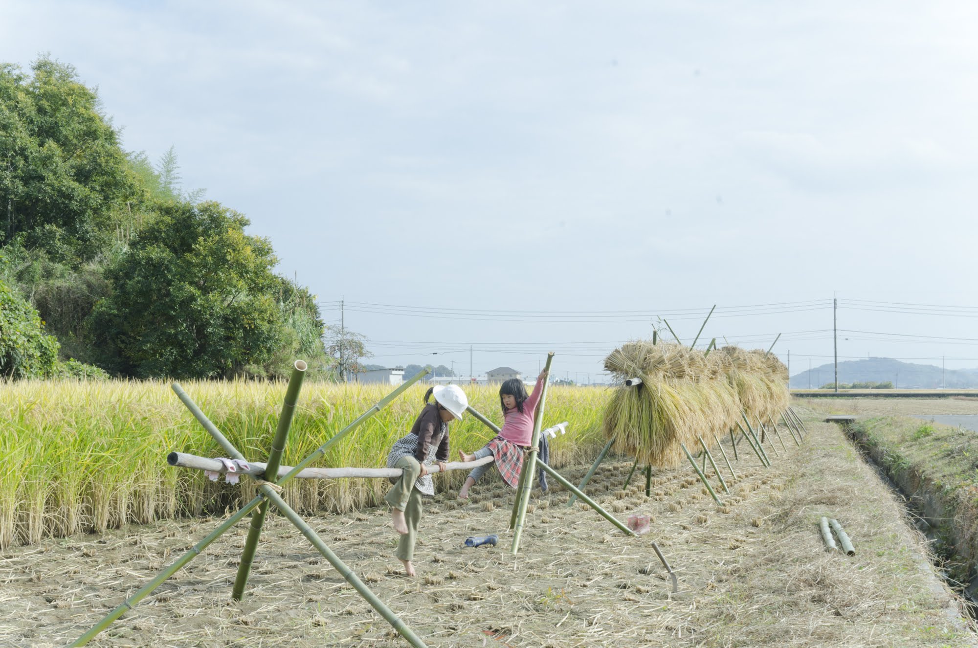 晴れの国DAKARA　子育て＆移住体感ツアー